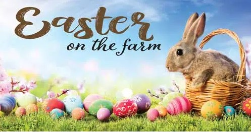 Easter on the farm