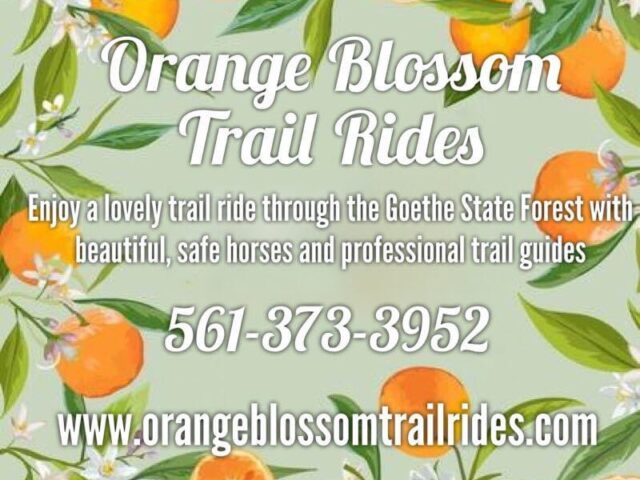 Orange Blossom Trail Rides