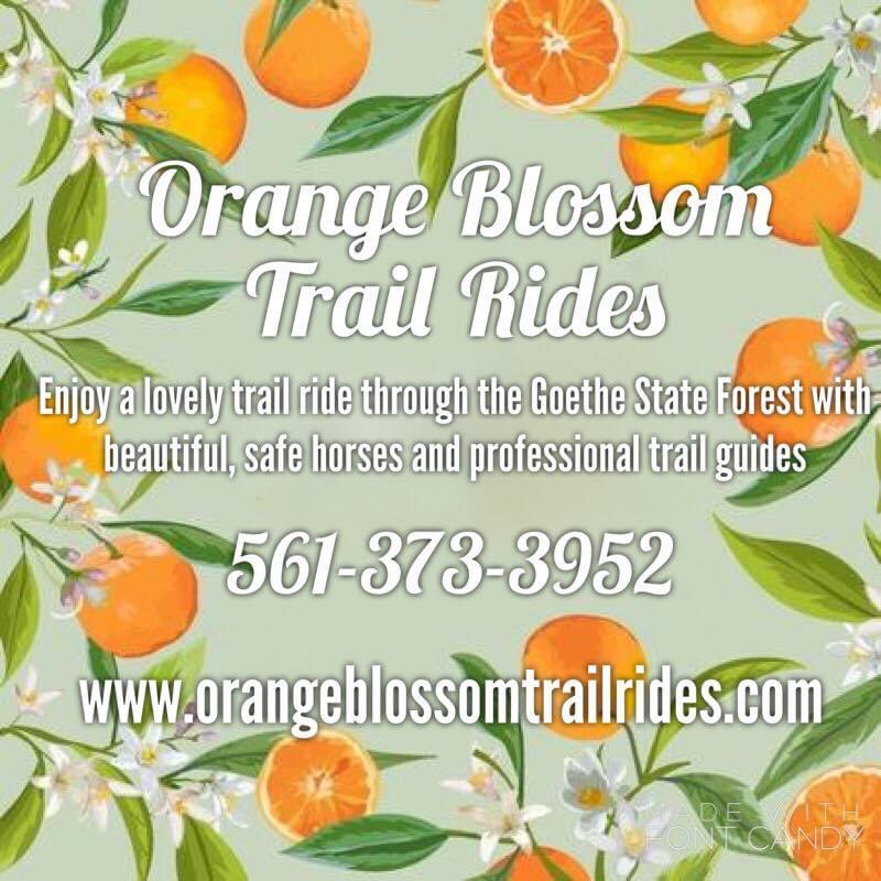 Orange Blossom Trail Rides