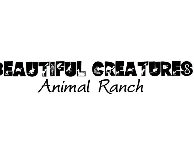Beautiful Creatures Animal Ranch