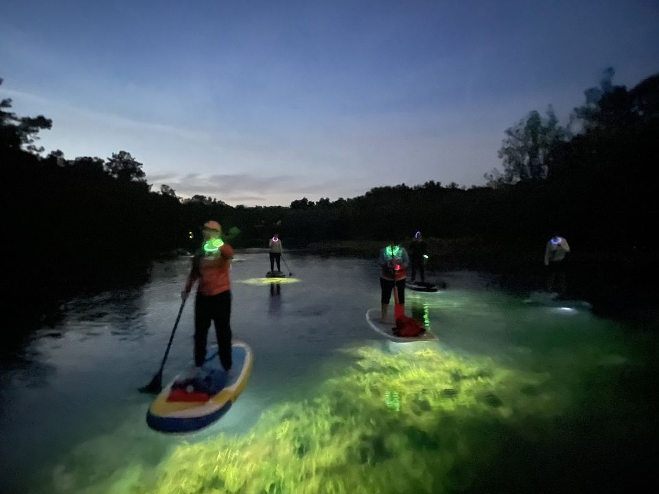 illuminated night paddle