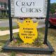 Crazy Chicks