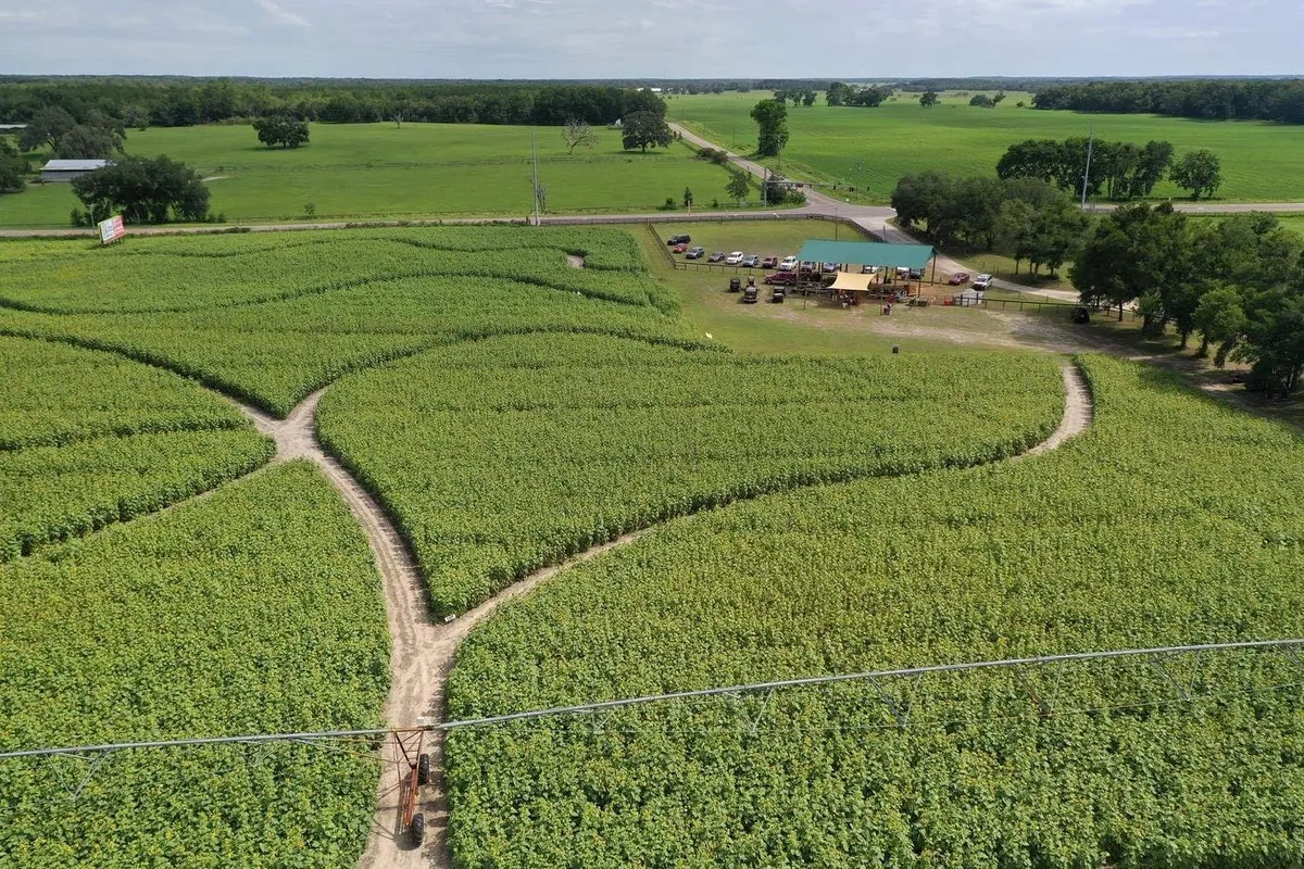 Drone view of field
