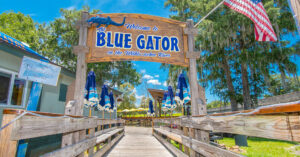 blue-gator-banner-2