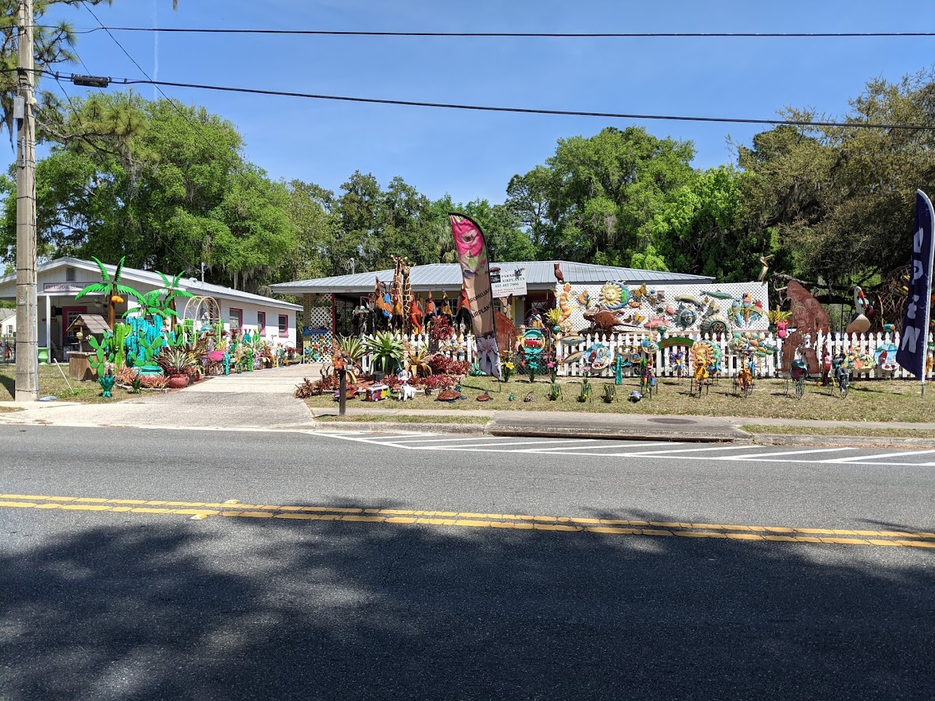 outside paradise air plants