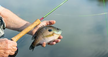 Fishing in Dunnellon Fishing in Dunnellon